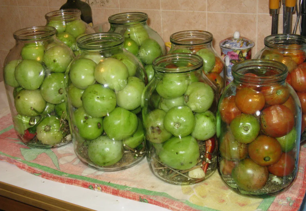 Засолка зелёных помидоров на зиму.