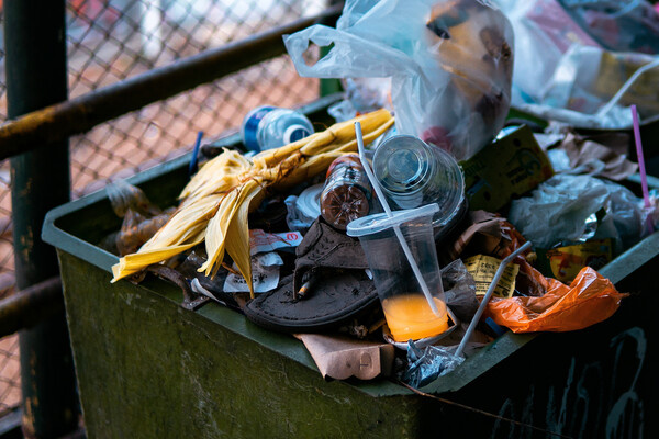 yasuspade/Shutterstock/FOTODOM 