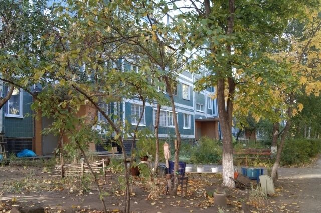    Дом, где случилась трагедия. Фото: АиФ/ Светлана Чернышова