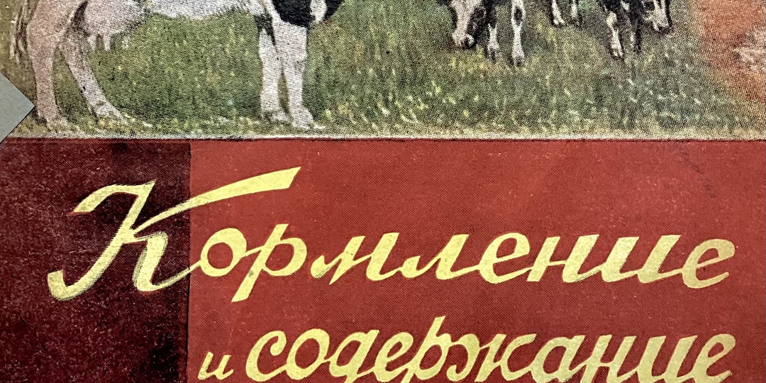 О коровах и импорте пшеницы в СССР