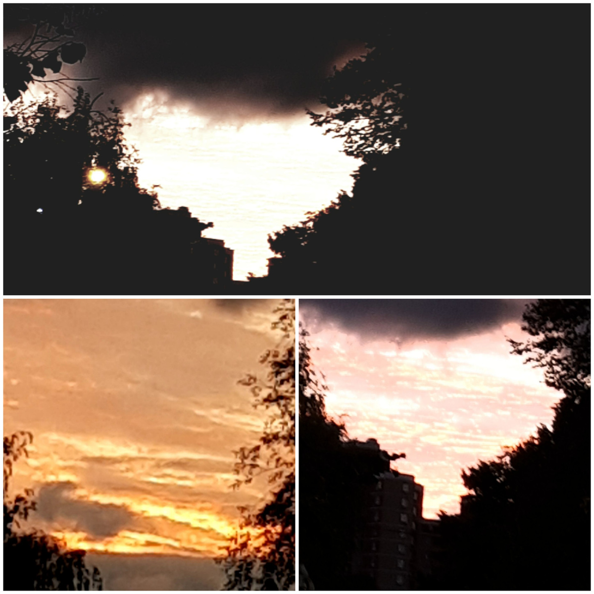 Коллаж автора 02.10.2025г.