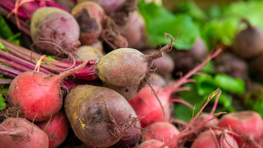    Фото © flickr.com / U.S. Department of Agriculture