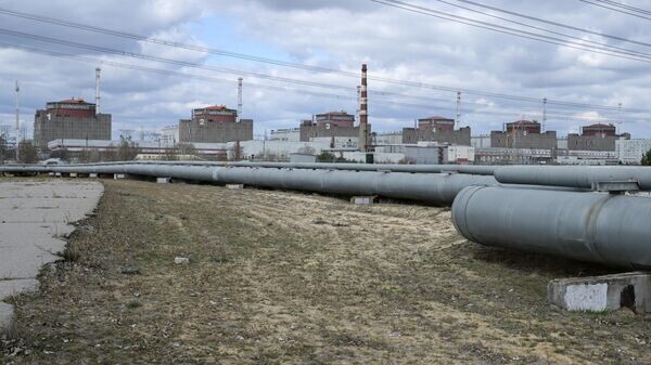    © Sputnik / Константин Михальчевский