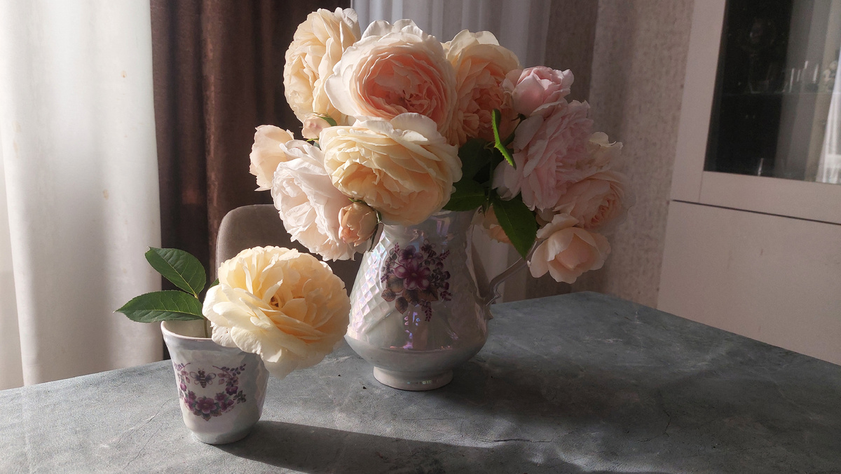 "Остинки"). На кустах у меня смотрятся неважно. А в букете - шикарно.