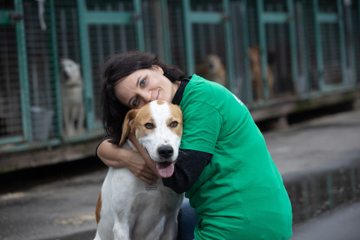 В Щербинском приюте, Москва. Ровер, кстати, именно после того выезда обрел дом