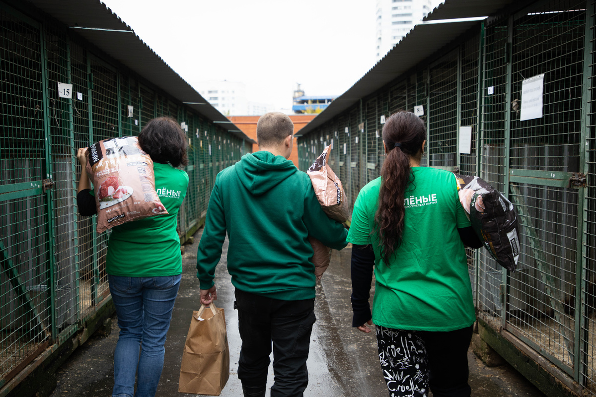 Здесь живут 1700 собак