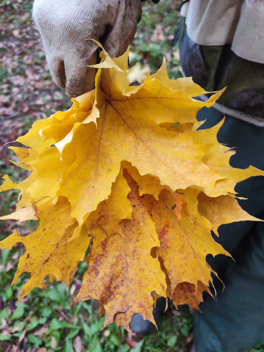 Октябрь постучался... 