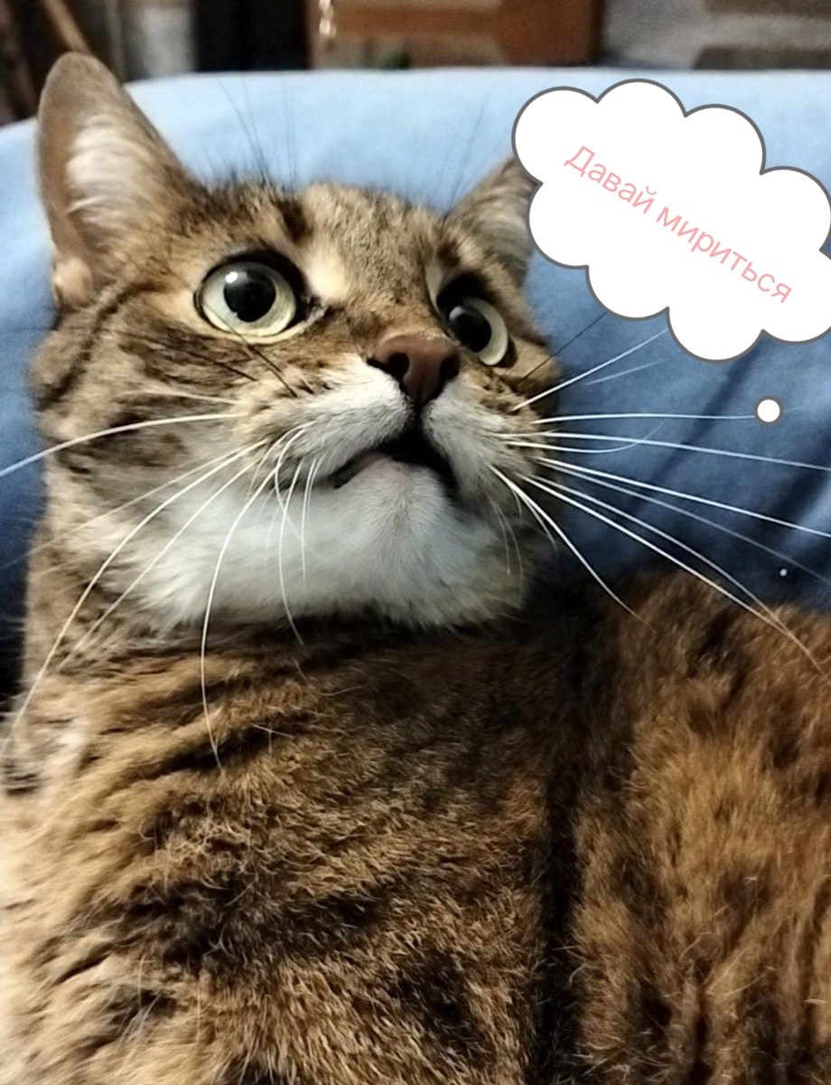 Изображение создано Автором канала ГерАтриум