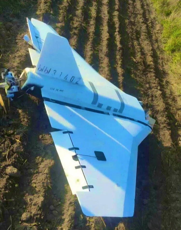 БЛАП,в на поле в Польш. фото из "КП"