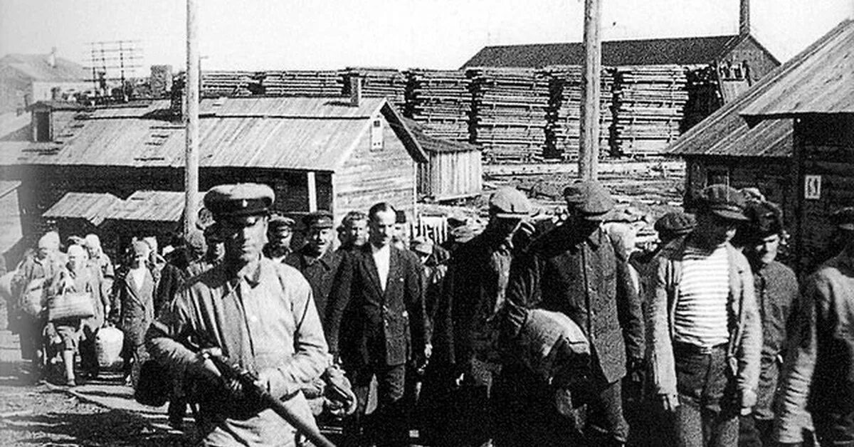 Ведут новых заключённых