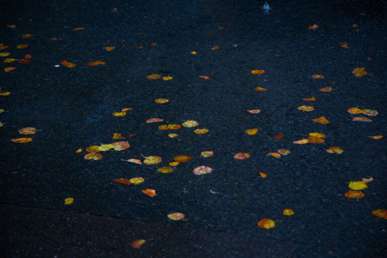    Фото: Общественная Служба Новостей Марта Леви