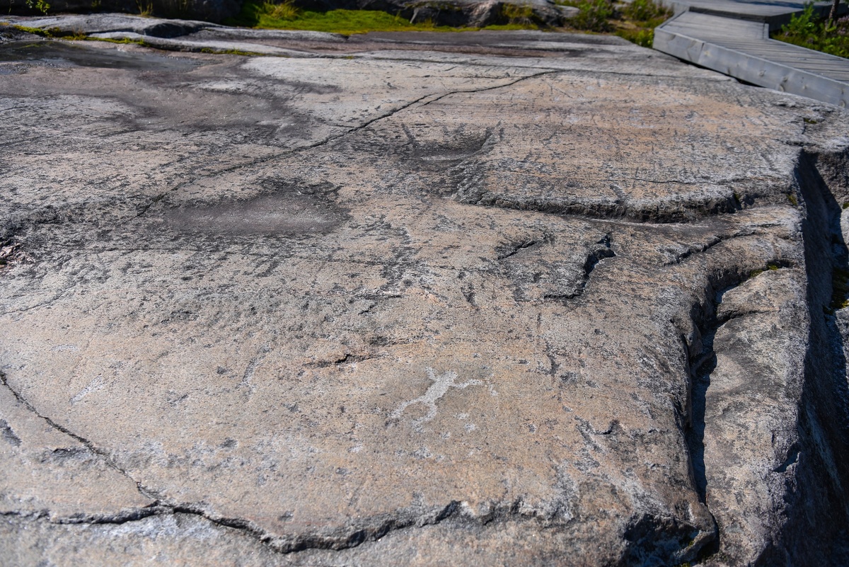 Беломорские петроглифы. Фото: «Республика»/ Оксана Кудряшова  📷
