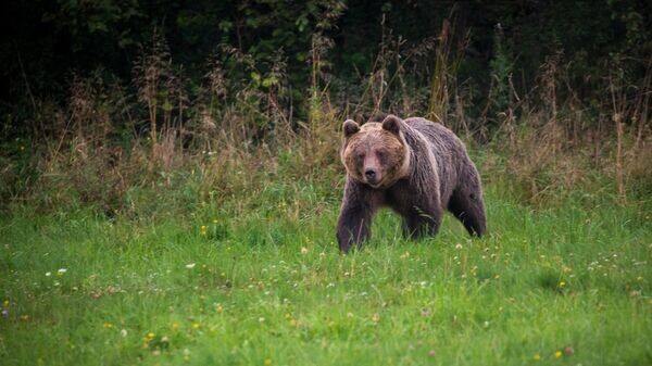    © Getty Images / Lukas Matej / 500px