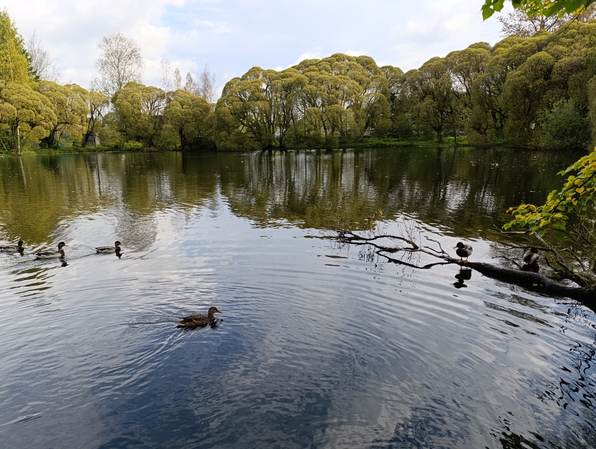 Московский пруд напротив отеля