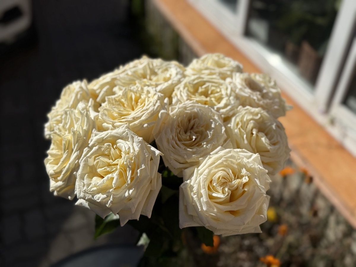 Розы тоже загляденье!