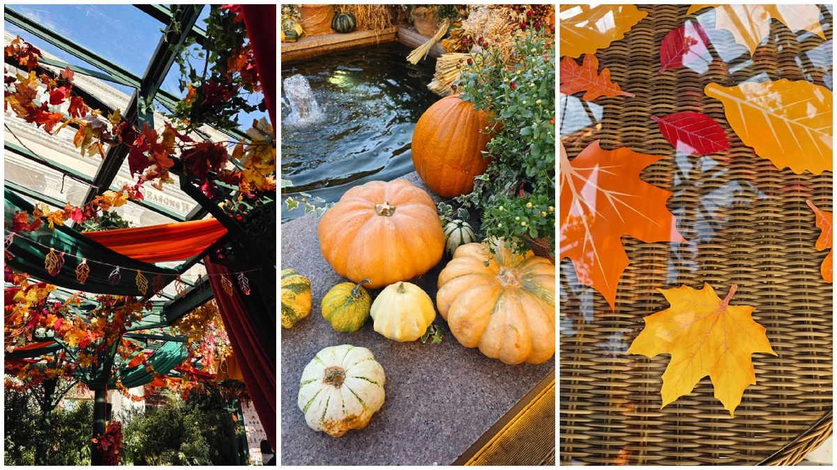 С вниманием к деталям