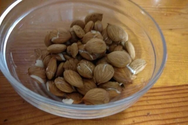    Правда ли, что абрикосовые косточки опасны?