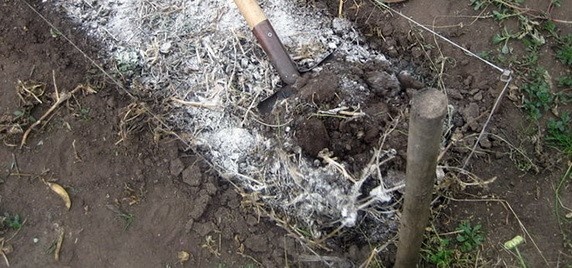 Известкование кислых почв. Фото из открытых источников