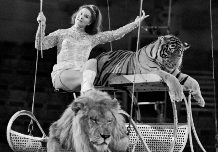 Маргарита Назарова выступала в цирке.