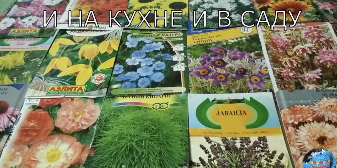 Когда и как сеять цветы под зиму. Названия цветов. Простой посев под зиму.