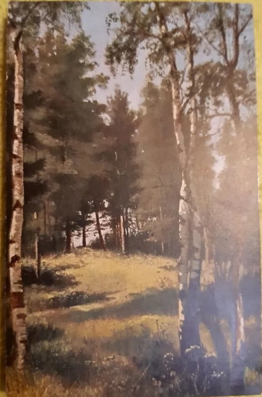 "Полянка". Лицевая сторона открытки. Фотокопия автора ИстАрх.