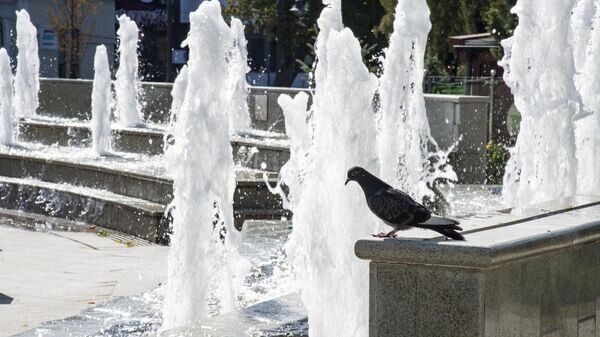    © РИА Новости Крым . Дмитрий Макеев