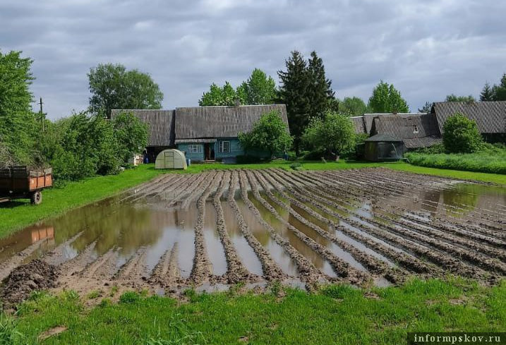 Фото из архива Николая Бесклёвного