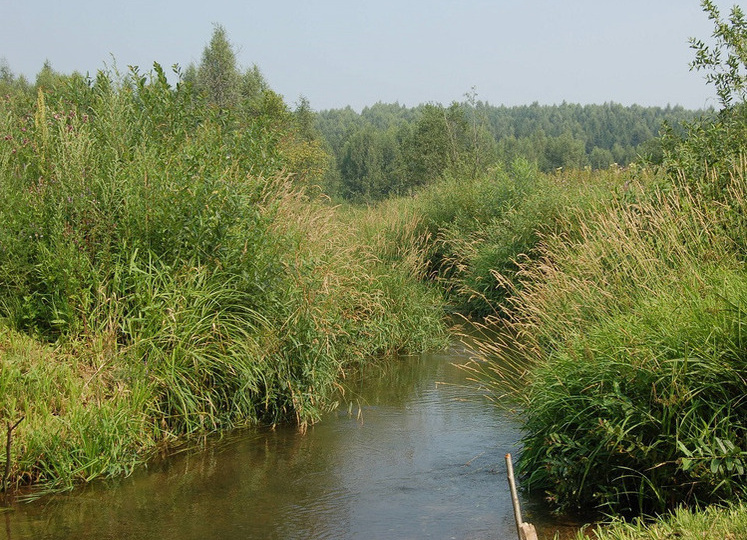 Нестандартная ловля мирных хищников
