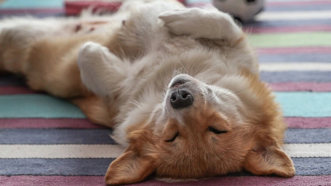    Bulkin Sergey/Globallookpress