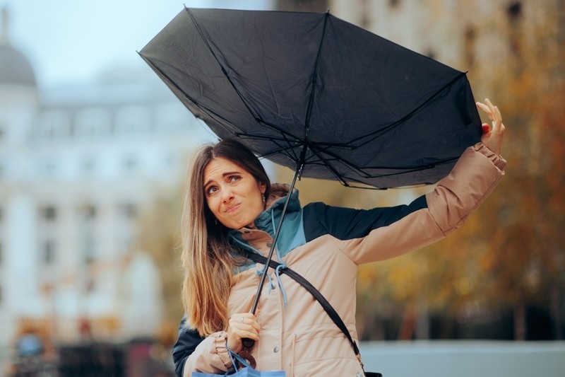    Shutterstock/FOTODOM