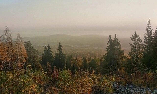    Перед отъездом семья Усольцевых решила совершить прогулку к скальному массиву Буратино. Фото: соцсети