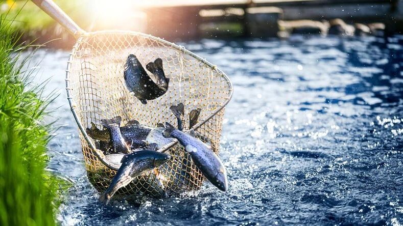    Фото: Krasula/Shutterstock/Fotodom