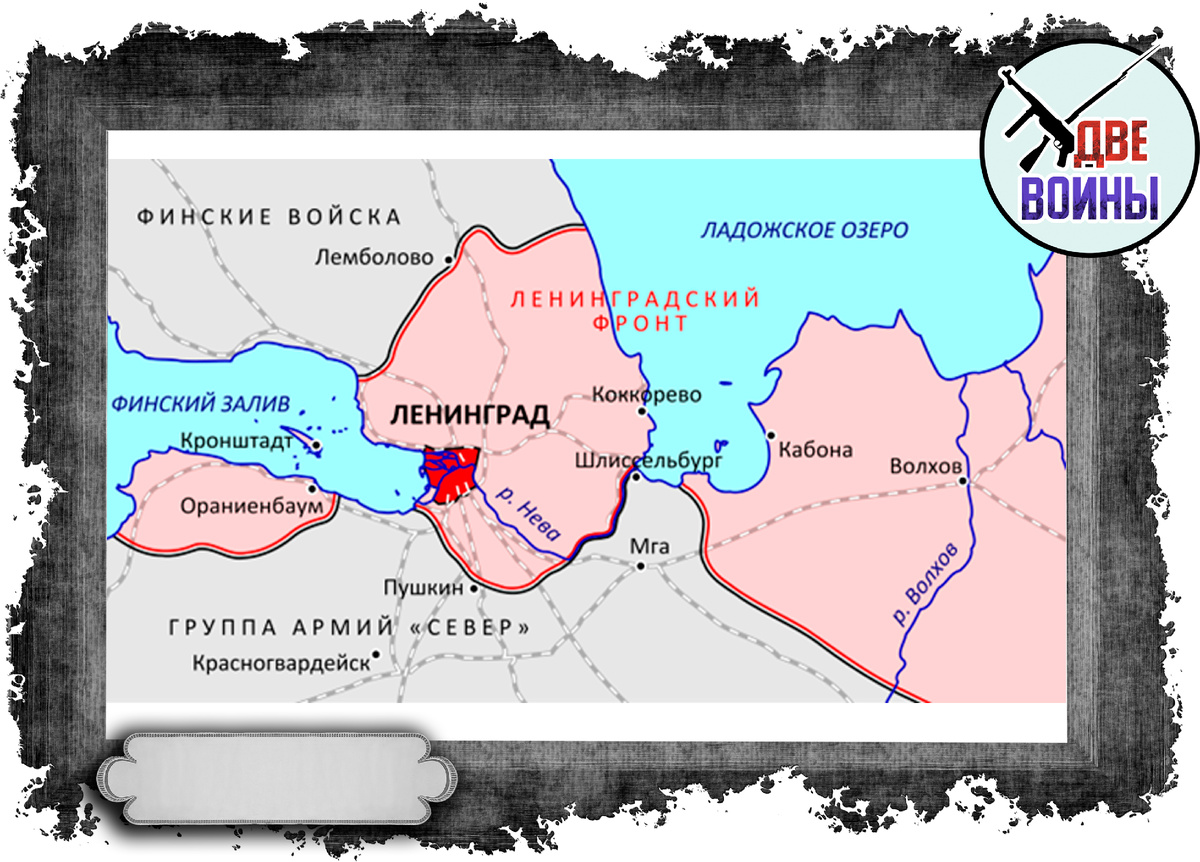 Фото в открытом доступе.