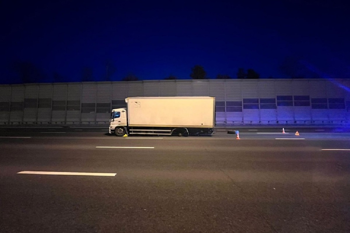    Фото: сгенерировано ИИ, источник: shedevrum.ai