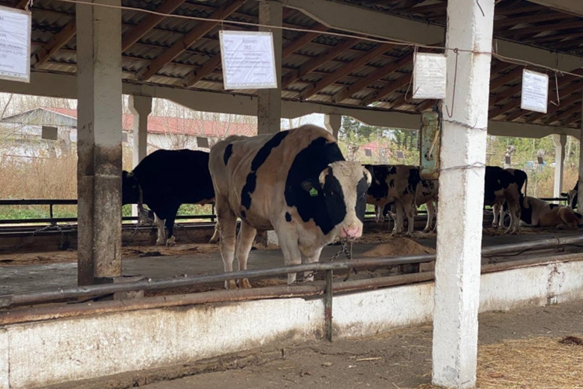    Фото: Правительство Новосибирской области, источник: nso.ru