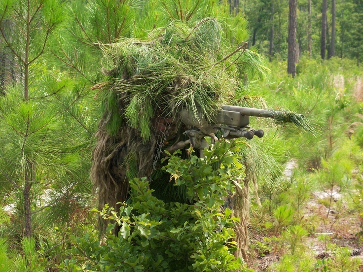 Типичное поведение растения - пограничника