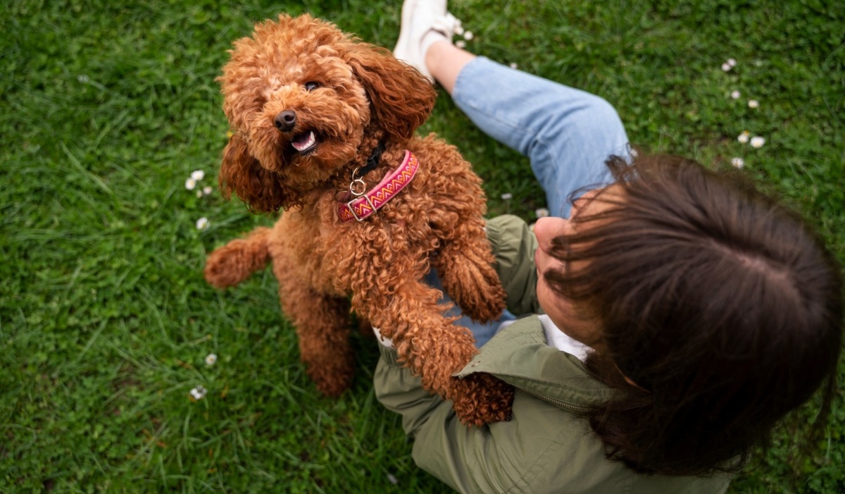    Фото: freepik.com