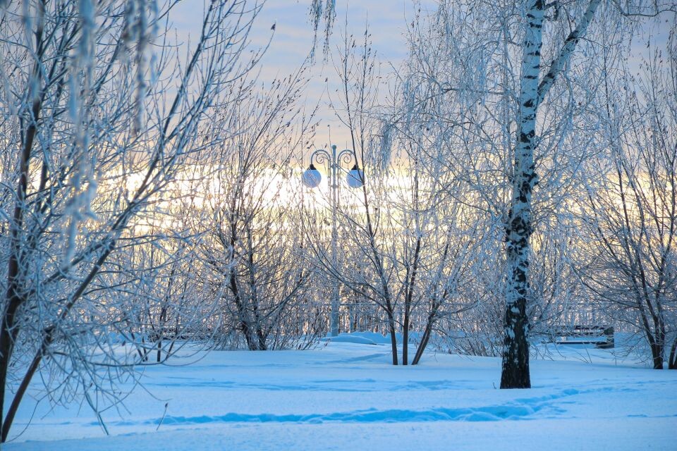    Нагорный парк Барнаула зимой. Источник: Виталий Барабаш