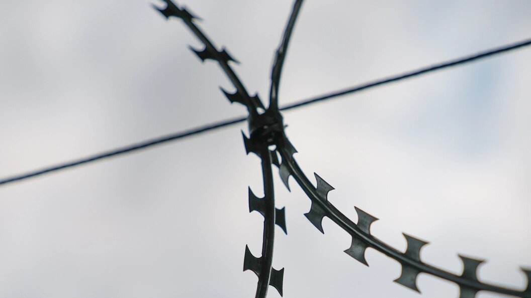    Фото: Belkin Alexey/ Global Look Press