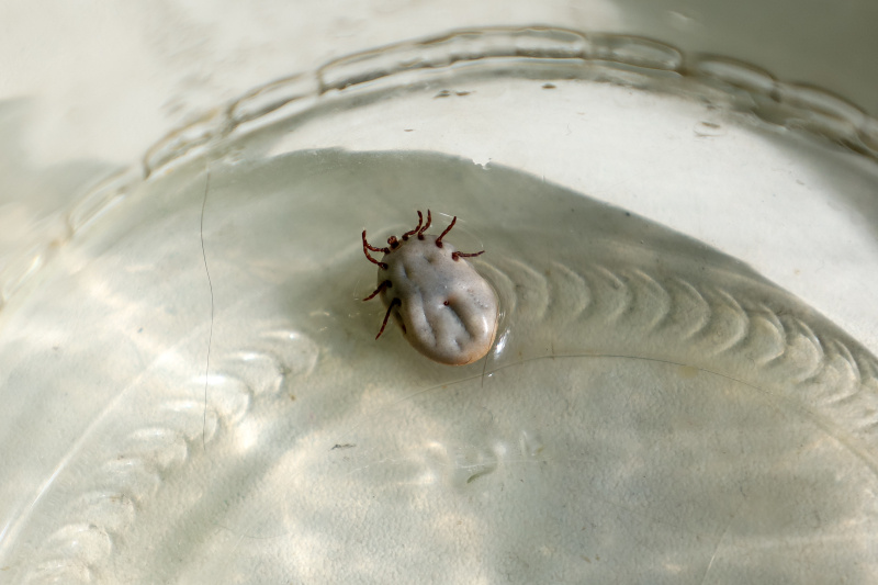    Фото: Elena Mayorova/Globallookpress