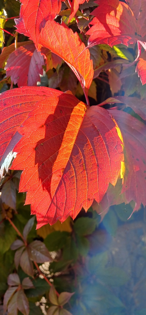 Игра света и теней 