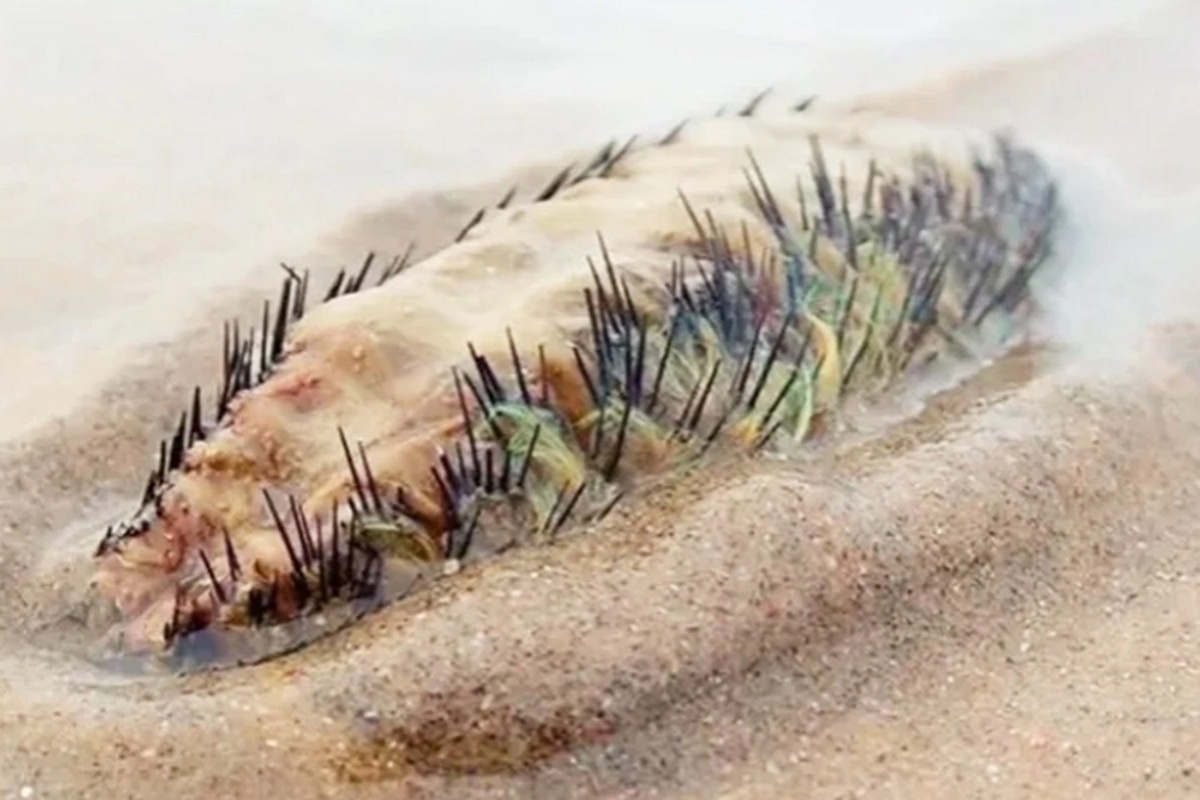    Фото: соцсети