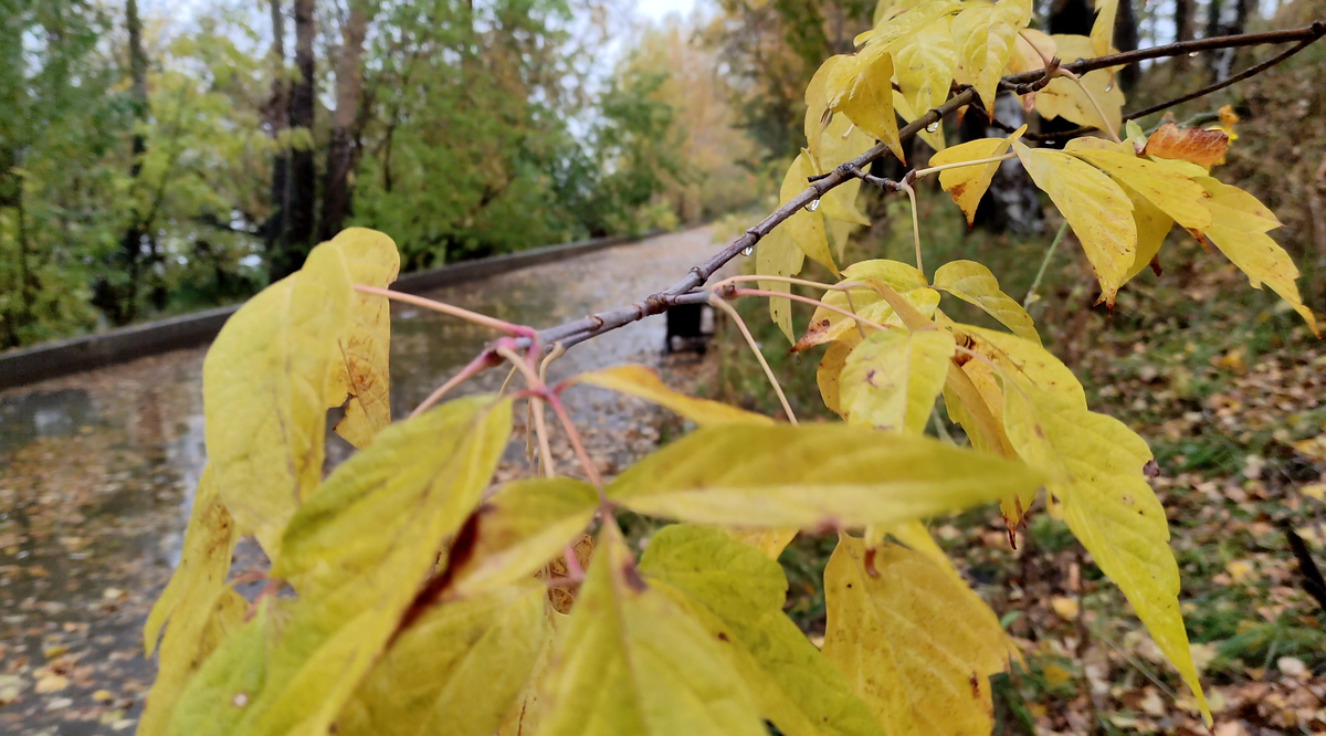     Красноярцев ждут прохладные выходные