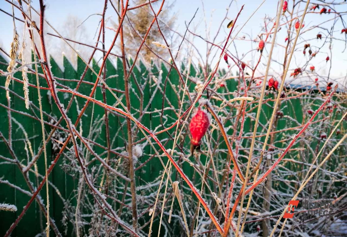 Синоптики предупредили о переменчивой погоде в Приморье на выходных.  Фото: Фото: ФедералПресс / Елена Майорова