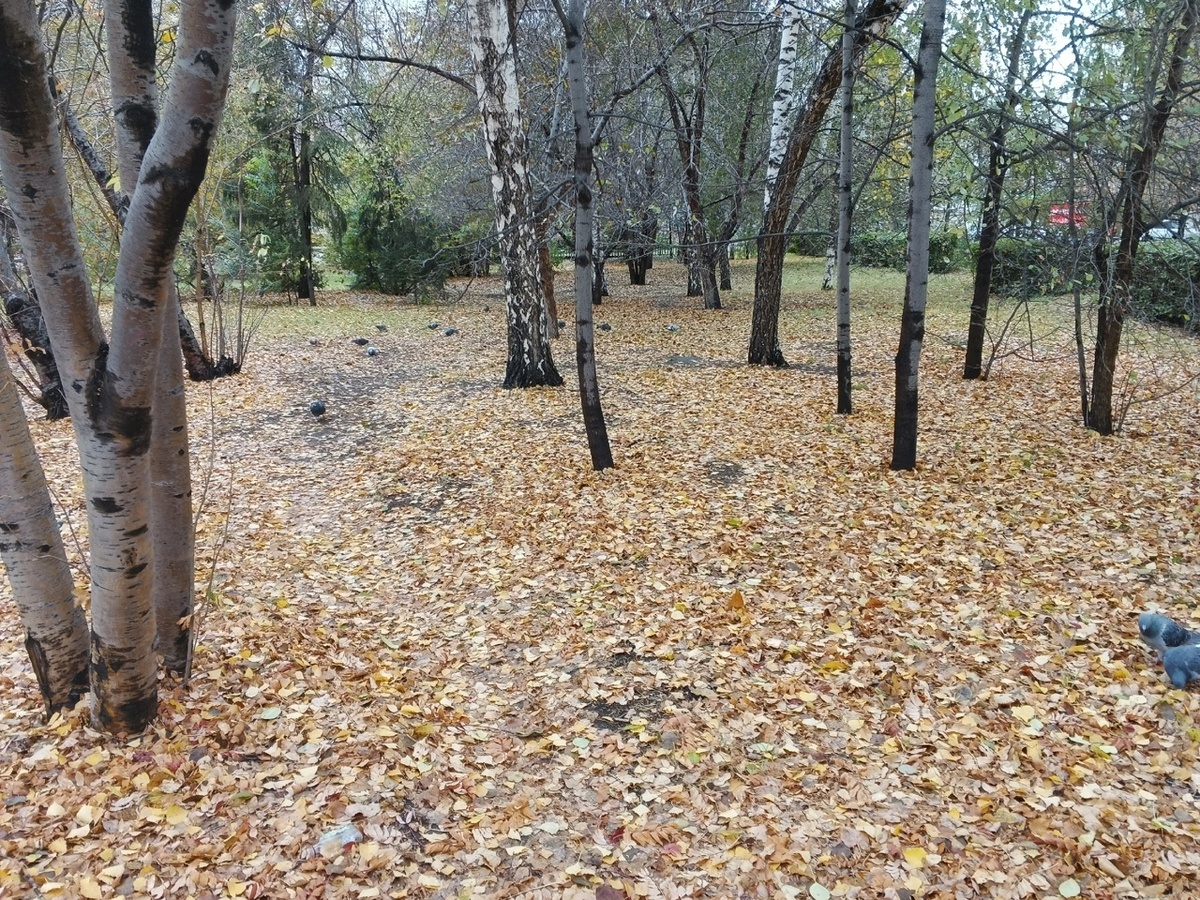 Сквер образца 2.10.2025