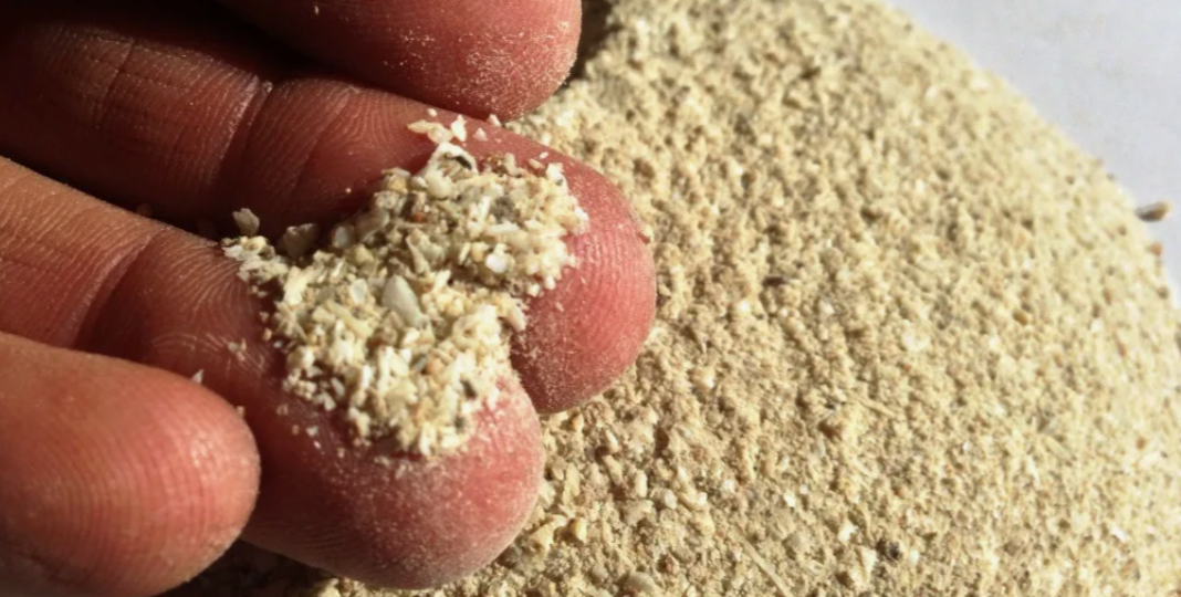 Каждый год рассыпаю осенью один порошок по всему участку и томаты, картофель, перец и баклажаны говорят - спасибо