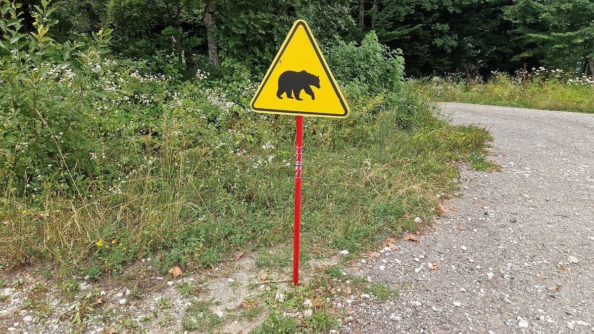    Фото: телеканал «Краснодар»