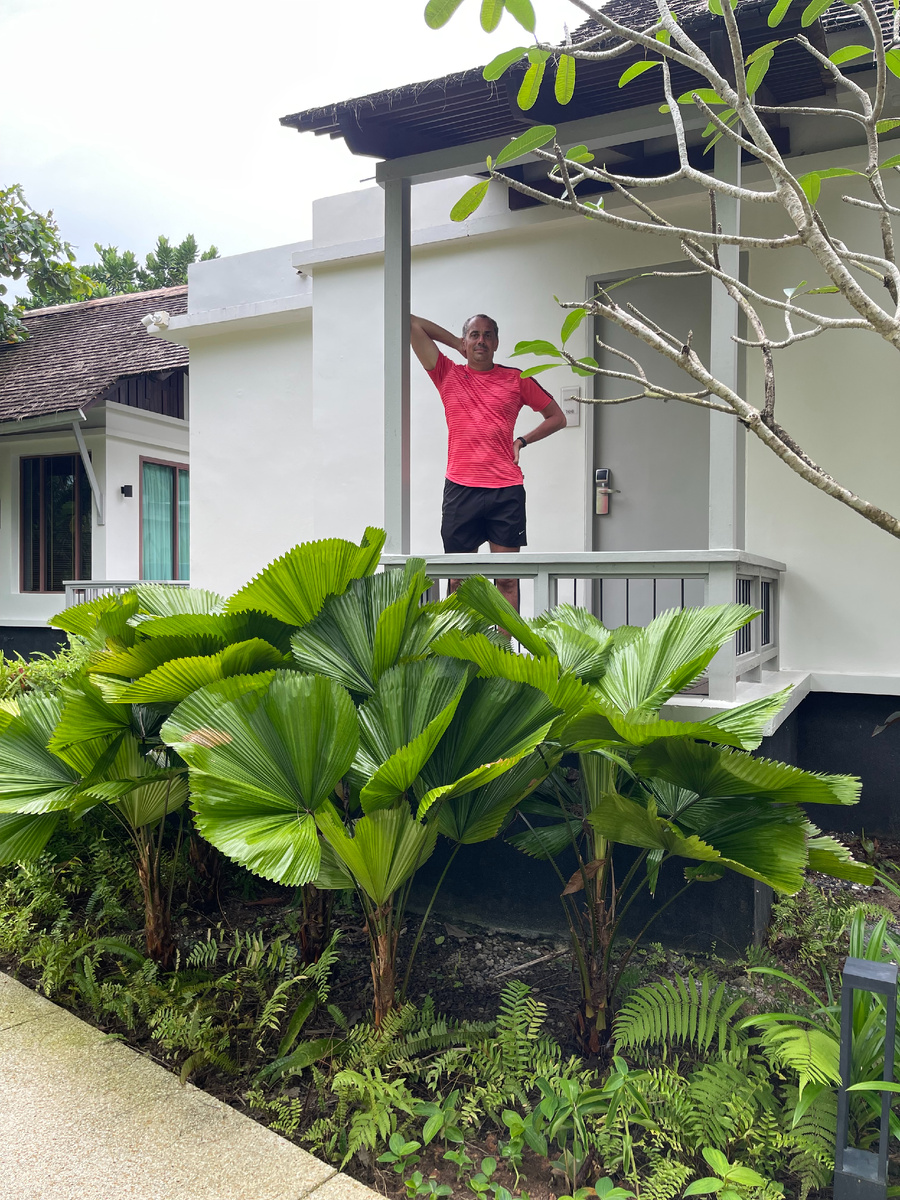 Очередной куст