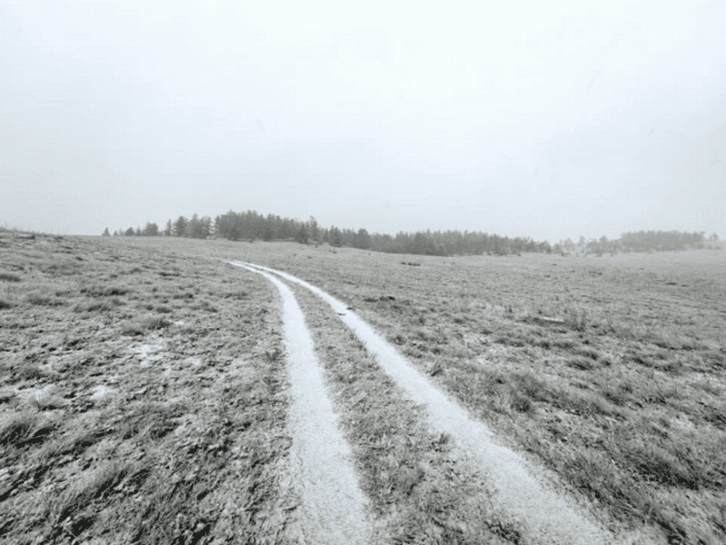 © Фото: Дмитрий Верхозин