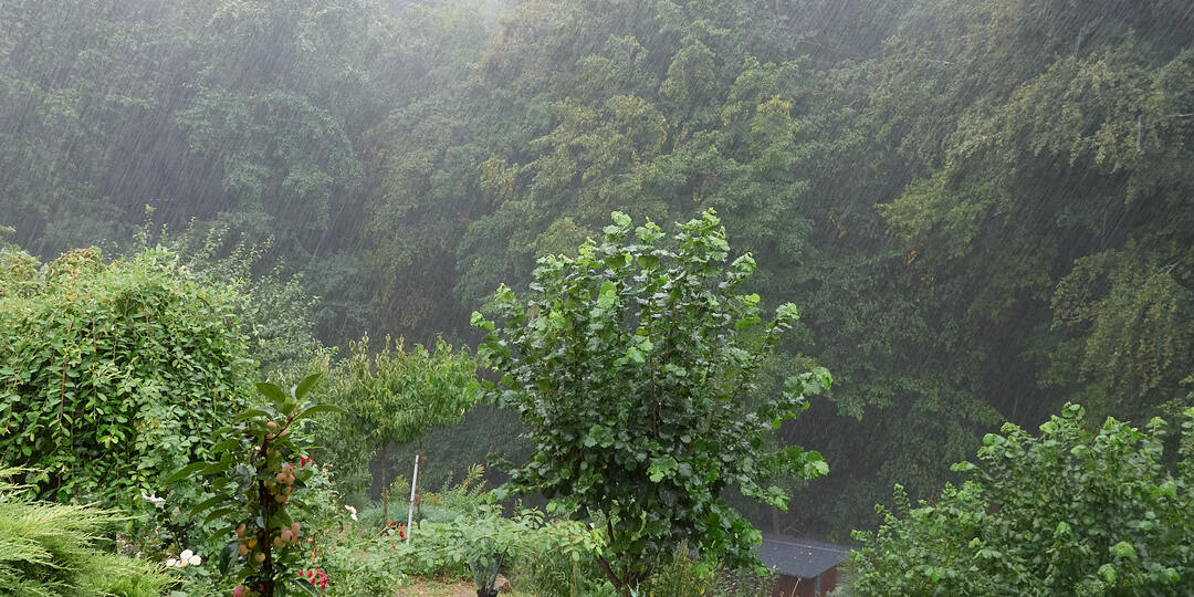 Небольшие эскизы из осенней жизни в Горячем Ключе